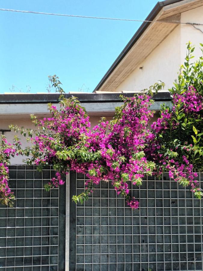 Bouganville A Apartament B&B Civitanova Marche Exterior foto